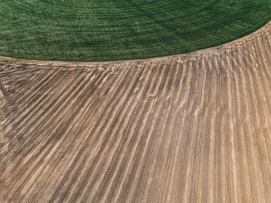 A striking aerial view of green and brown agricultural fields showcasing crop patterns and earth textures.