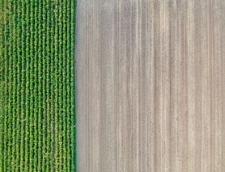 Aerial view showcasing contrasting green crops and tilled brown soil, highlighting agricultural patterns.